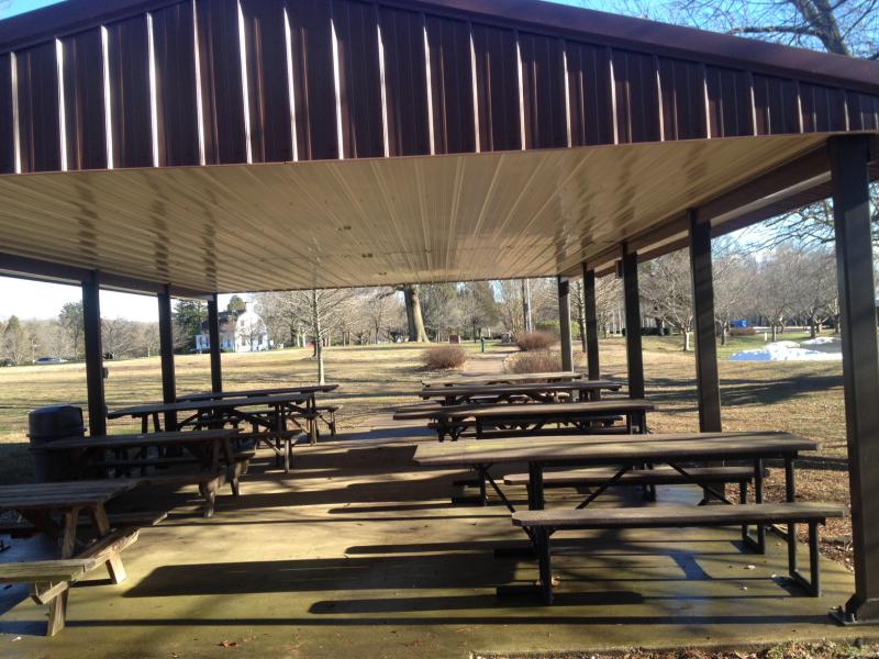 Local organizations and the Amish family rebuilt the roof of our north pavilion