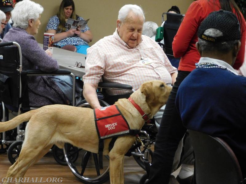 Visits from therapy dogs 