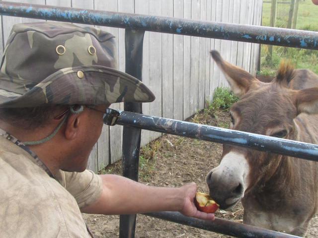 Summerly Farms